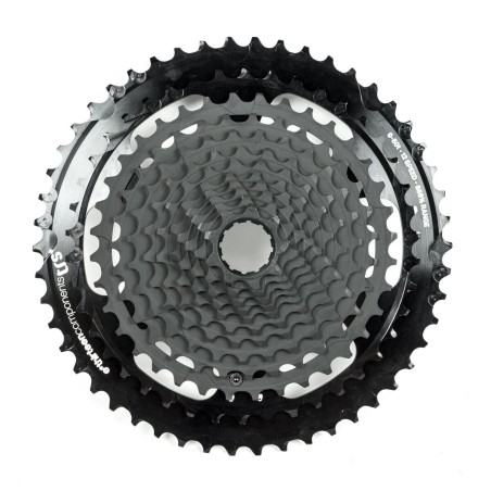 TRS PLUS 9-46T 12SPEED