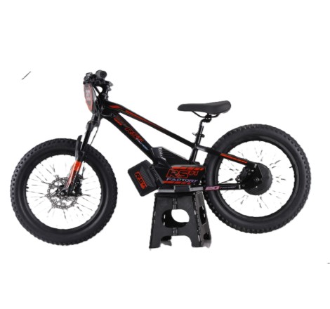 Draisienne électrique RS Factory FXB01-20 Cross