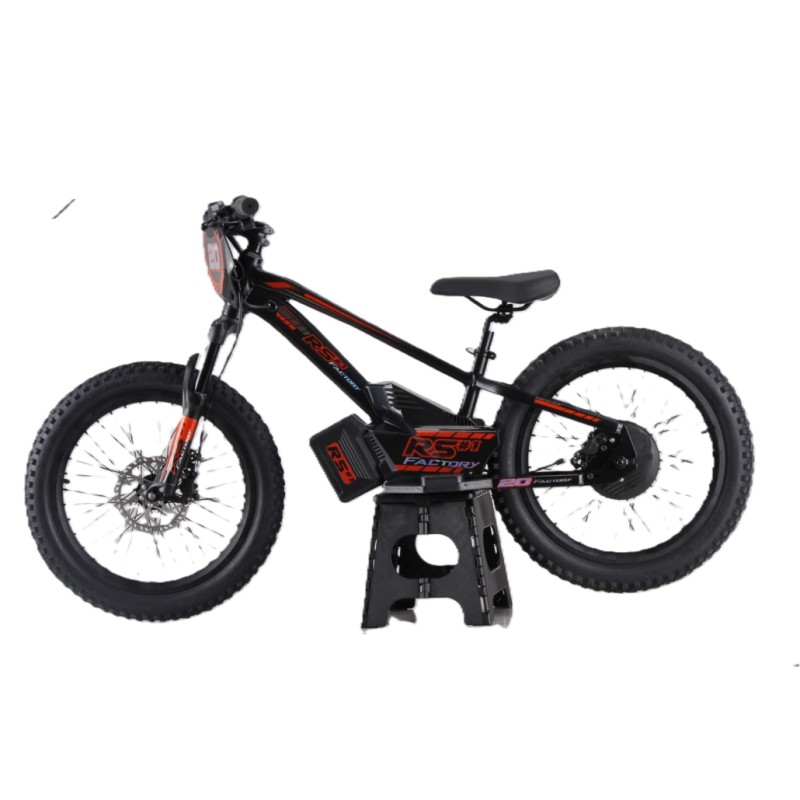 Draisienne électrique RS Factory FXB01-20 Cross