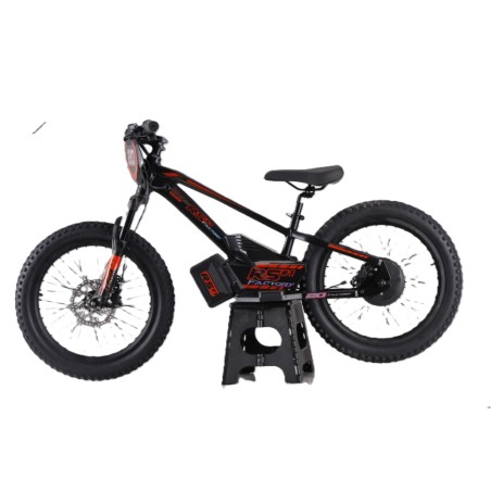 Draisienne électrique RS Factory FXB01-20 Cross