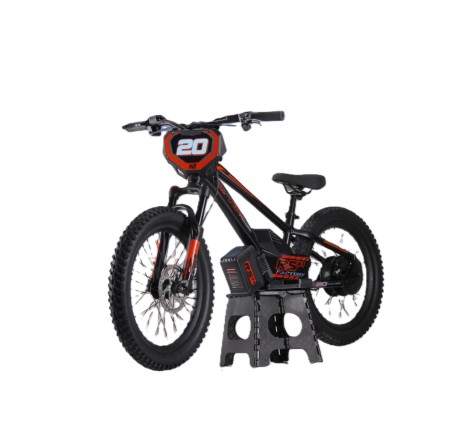 Draisienne électrique RS Factory FXB01-20 Cross