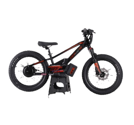 Draisienne électrique RS Factory FXB01-20 Cross