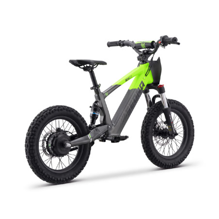 Draisienne électrique sedna sx 16" pouces Vert