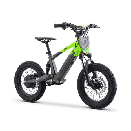 Draisienne électrique sedna sx 16" pouces Vert