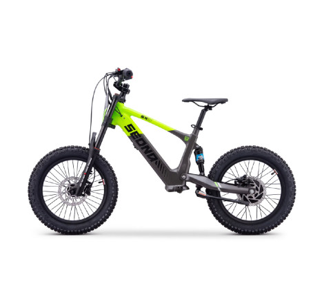 Draisienne électrique sedna sx 18" pouces vert