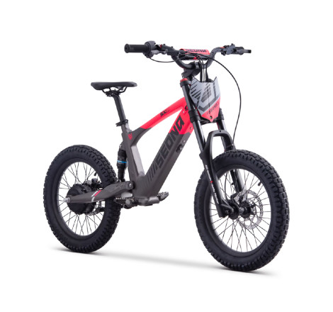 Draisienne électrique sedna sx 18" pouces rose