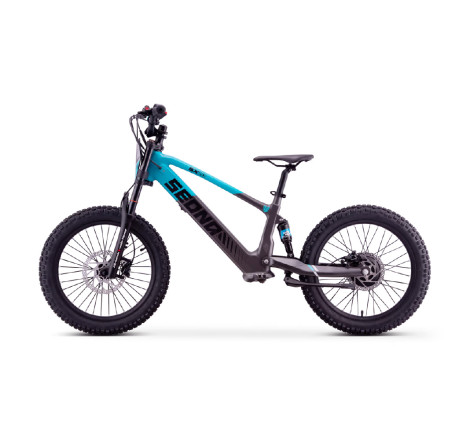 Draisienne électrique sedna sx 20" pouces Bleu