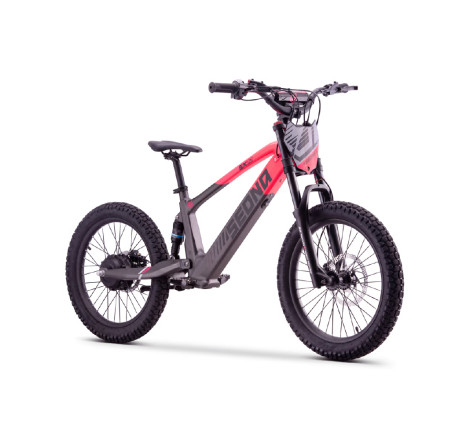 Draisienne électrique sedna sx 20" pouces rose