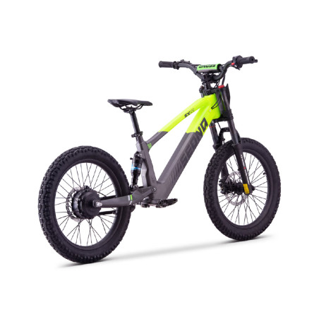 Draisienne électrique sedna sx 20" pouces vert