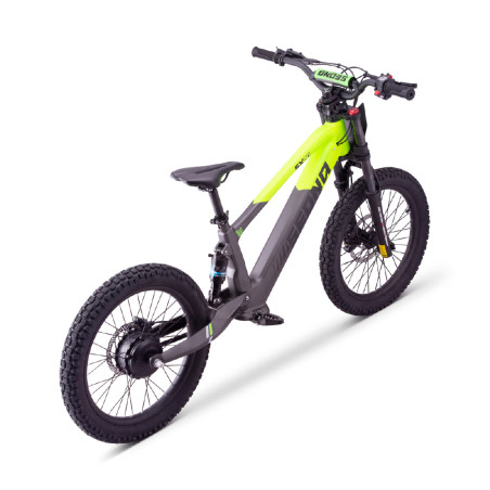 Draisienne électrique sedna sx 20" pouces vert