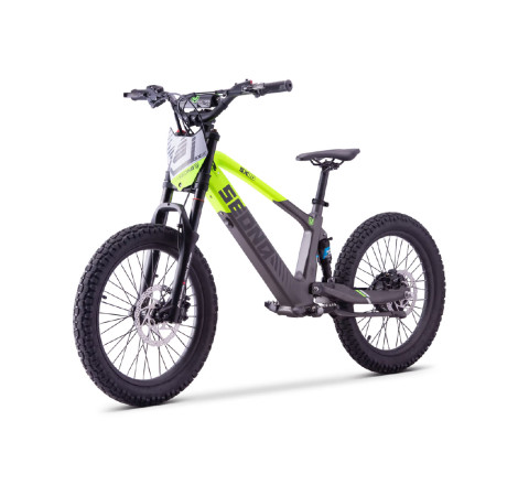 Draisienne électrique sedna sx 20" pouces vert