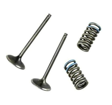 Soupape d'échappement WÖSSNER acier - Yamaha YZ450F/FX/WRF