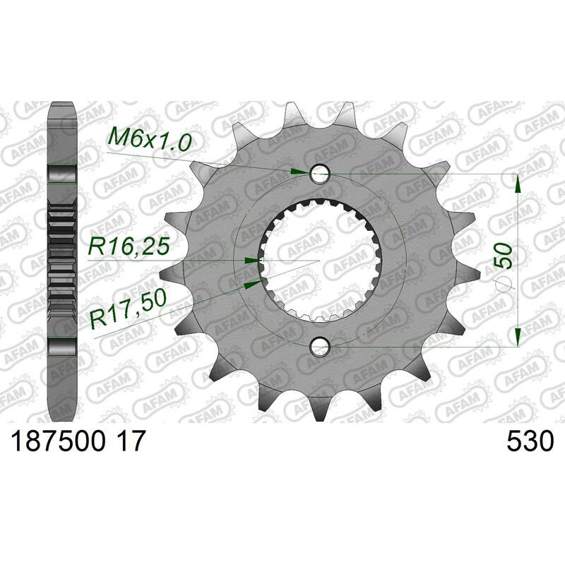 Pignon AFAM acier standard 1875001 - 530