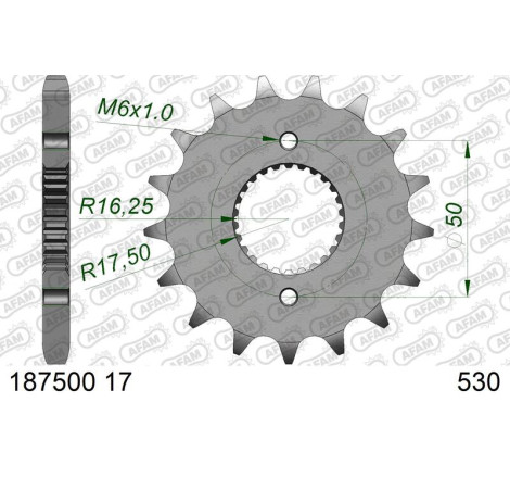 Pignon AFAM acier standard 1875001 - 530