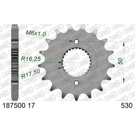 Pignon AFAM acier standard 1875001 - 530