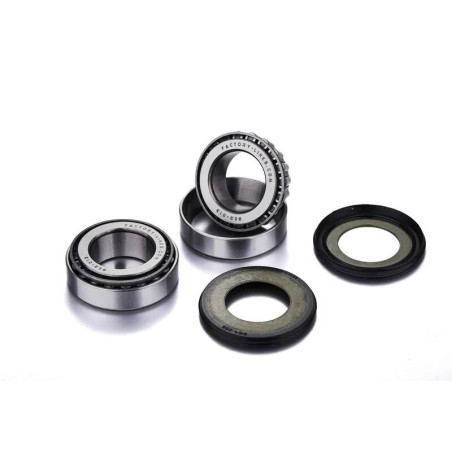 Kit de roulements FACTORY LINKS - 6005 2RS x10
