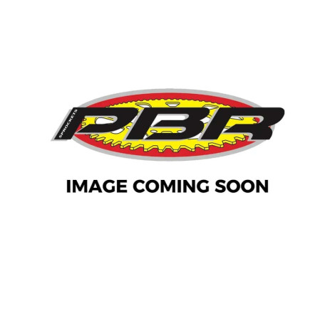 Pignon PBR acier standard 2198G - 525