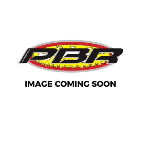 Pignon PBR acier standard 2198G - 525
