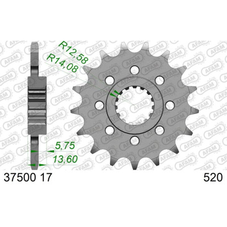 Pignon AFAM acier standard 37500 - 520