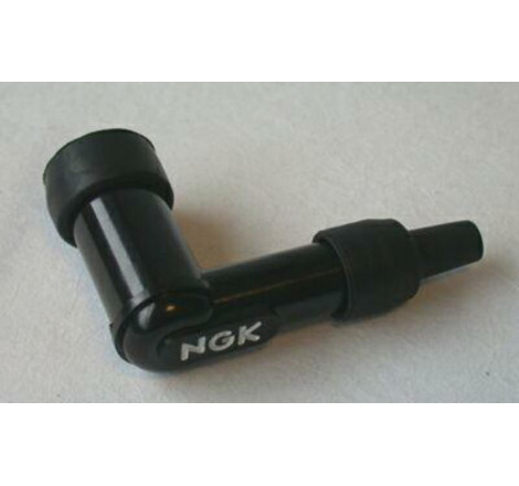 Anti-parasite NGK - LDF