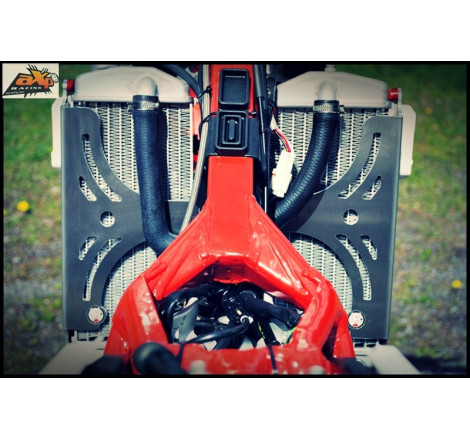 Protection de radiateur AXP aluminium - Beta RR350