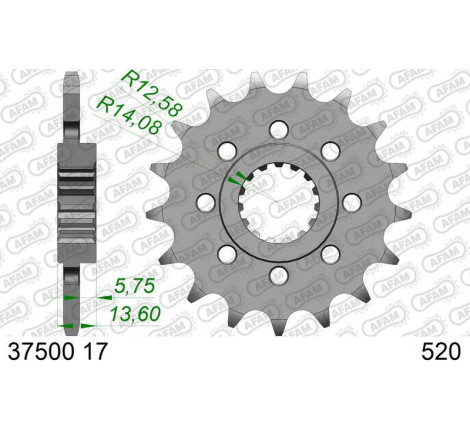 Pignon AFAM acier standard 37500 - 520