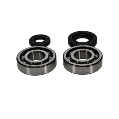 Kit roulements et joints spi de vilebrequin PROX 250 YZ / XX