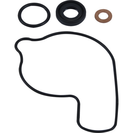 Kit réparation de pompe à eau HOT RODS 450 CRF 2017 à 2024