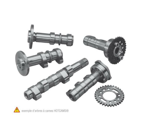 Arbre à cames échappement HOT CAMS - Niveau 2 450 RM-Z 2007