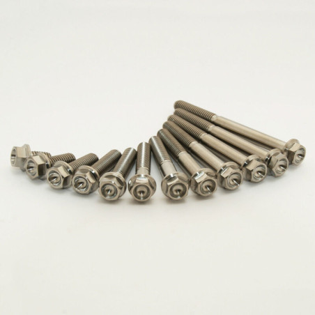 Kit vis titane SCAR M6x50 par 2