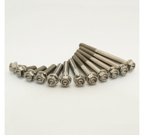 Kit vis titane SCAR M6x35 par 2