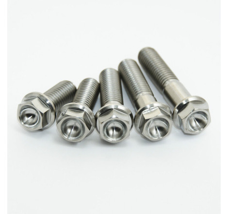 Kit vis titane SCAR M8x15 par 2