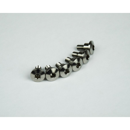 Kit vis titane SCAR M6x14 par 6