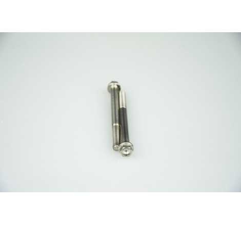 Kit vis titane SCAR M6x75 par 1
