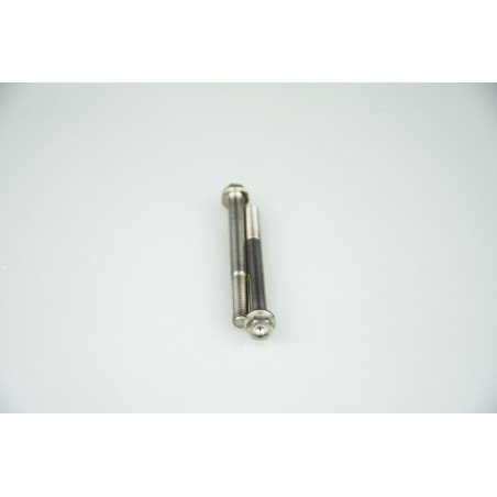 Kit vis titane SCAR M6x75 par 1