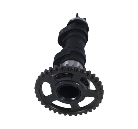 Arbre à cames simple HOT CAMS - niveau 2 450 CRF 2017 à 2020