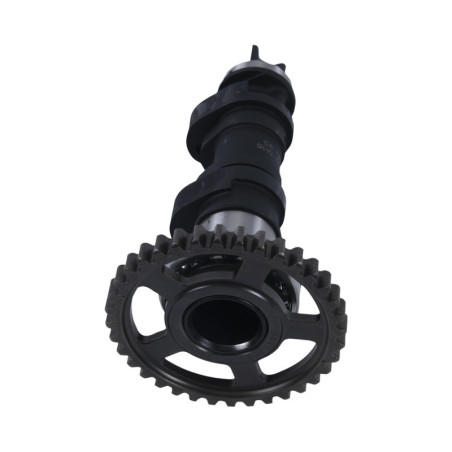 Arbre à cames simple HOT CAMS - niveau 2 450 CRF 2017 à 2020
