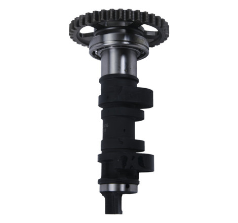 Arbre à cames simple HOT CAMS - niveau 2 450 CRF 2017 à 2020