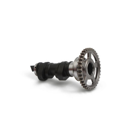 Arbre à cames simple HOT CAMS - niveau 1 450 CRF 2017 à 2020