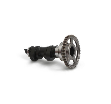 Arbre à cames simple HOT CAMS - niveau 1 450 CRF 2017 à 2020