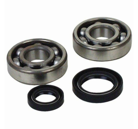 Kit roulements et joints spi de vilebrequin PROX 250 YZ-F / XX-F