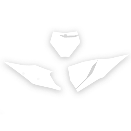 Fonds de plaque BLACKBIRD