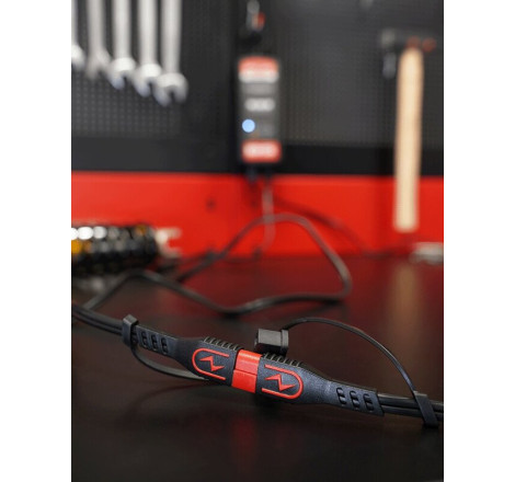 Rallonge de câble de charge BS Battery PA04 SAE vers SAE