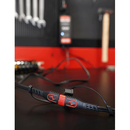 Rallonge de câble de charge BS Battery PA04 SAE vers SAE