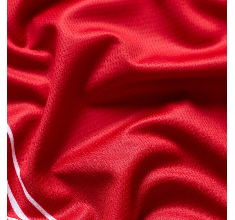 Maillot TROY LEE DESIGNS GP Pro - Streamline rouge/noir