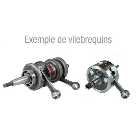 Vilebrequin complet HOT RODS type origine 250 SX/TC