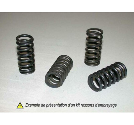 KIT RESSORTS Prox D'EMBRAYAGE POUR Ktm 85 SX / Husqvarna 85 TC