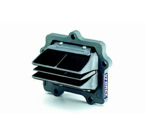 Boite à clapets V-FORCE 250 RM 1998 à 2002