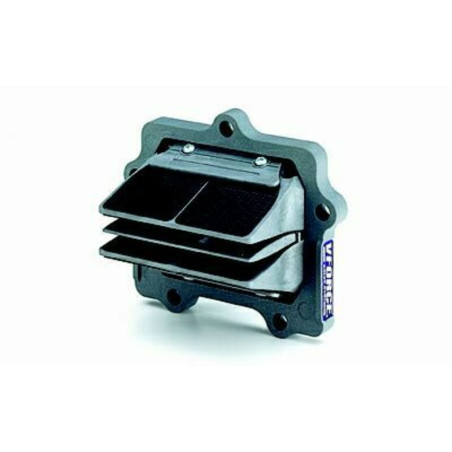 Boite à clapets V-FORCE 250 RM 1998 à 2002