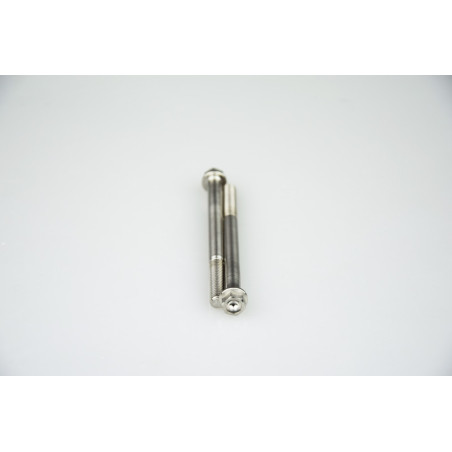 Kit vis titane SCAR M6x80 par 2